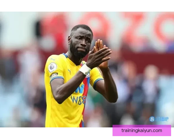 诺丁汉转会策略分析：持续提升竞争力，力争新赛季更佳表现