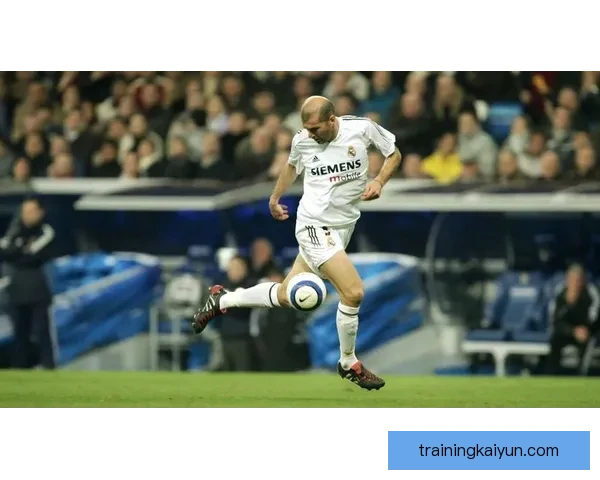 齐达内欧洲杯表现持续提升，成为球队的核心竞争力。